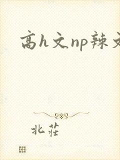 高h文np辣文