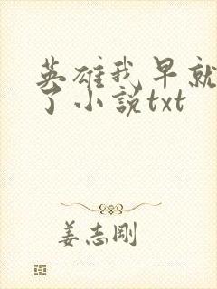 英雄我早就不当了小说txt封面