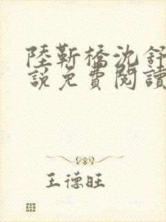 陆靳桥沈舒宁小说免费阅读最新章节