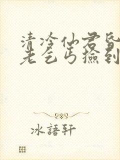 清冷仙君昏迷被老乞丐捡到