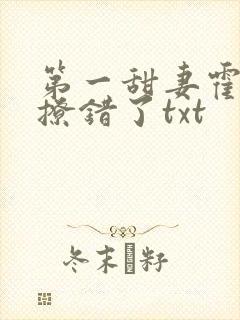 第一甜妻霍先生撩错了txt