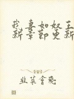 我妻如奴王琳最新章节更新