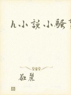 h小说小骚货