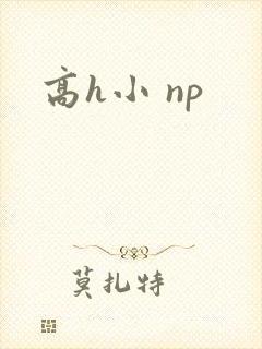 高h小 np
