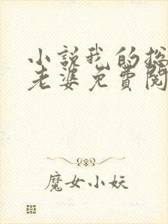 小说我的总裁大老婆免费阅读