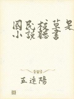 国民校草是女生小说听书