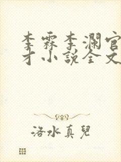 李霖李澜官道奇才小说全文免费阅读封面