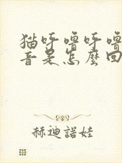 猫呼噜呼噜的声音是怎么回事封面