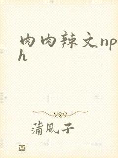 肉肉辣文np高h封面