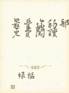 最爱你的那十年免费阅读