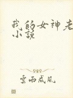 我的女神老婆 小说封面