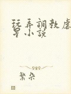 玩弄调教虐女明星小说