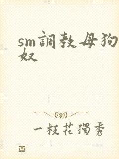 sm调教母狗女奴封面