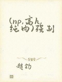 (np,高h,纯肉)强制