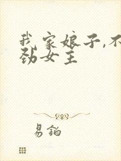 我家娘子,不对劲女主封面