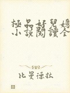 极品好儿媳苏媚小说阅读全文最新章