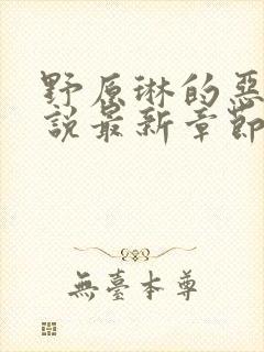 野原琳的恶堕小说最新章节更新内容