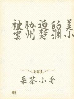 被胁迫的美人叶云州楚渊小说