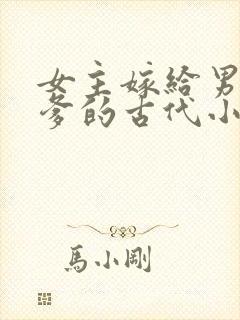 女主嫁给男主他爹的古代小说