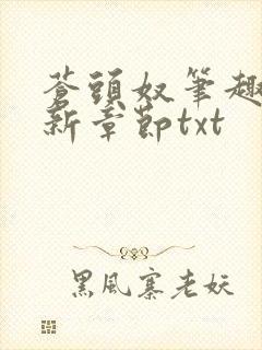苍头奴笔趣阁最新章节txt封面