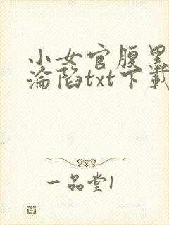 小女官腹黑帝王沦陷txt下载全文阅读封面