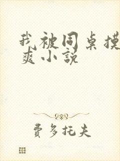 我被同桌摸的好爽小说