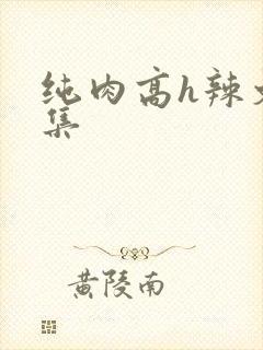 纯肉高h辣文合集