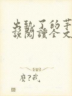 出轨了的芊芊小说阅读全文封面