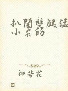 扒开双腿猛进入小柔的