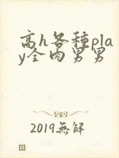 高h各种play全肉男男