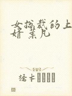 女总裁的上门女婿 叶凡