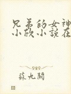 兄弟的女神女友小欣小说在线阅读