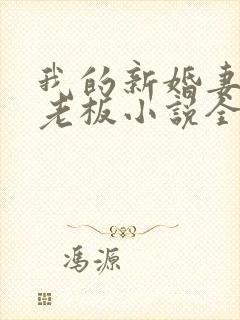 我的新婚妻子菜老板小说全文阅读