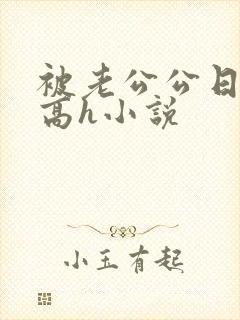 被老公公日爽了高h小说