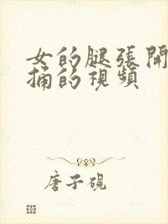 女的腿张开男的捅的视频