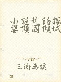 小说我的总裁老婆倾国倾城在线阅读封面