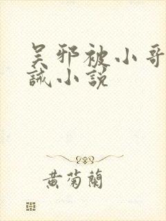 吴邪被小哥打训诫小说