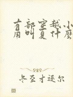 有部穿越小说主角叫夏什么