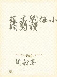 张亮刘梅小说在线阅读