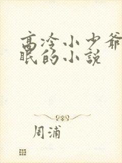 高冷小少爷被催眠的小说