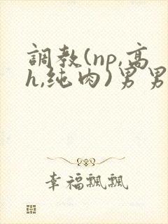 调教(np,高h,纯肉)男男