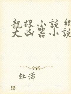 龙根小说 乡村大凶器小说第一章封面