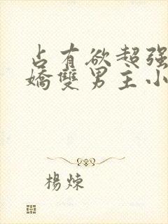 占有欲超强的病娇双男主小说推荐封面