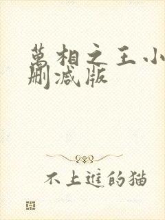 万相之王小说无删减版封面