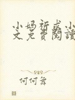 小妈祈求小说全文免费阅读封面