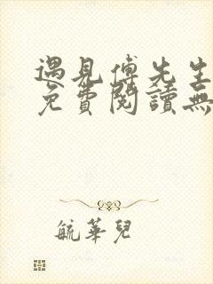 遇见傅先生小说免费阅读无弹窗封面