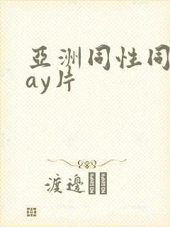 亚洲同性同志gay片封面