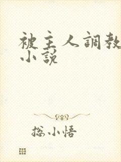 被主人调教sm小说