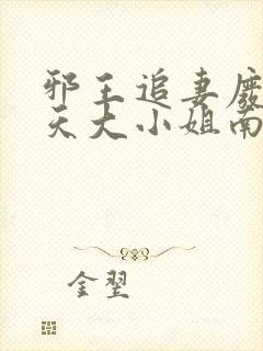 邪王追妻废材逆天大小姐南宫流云