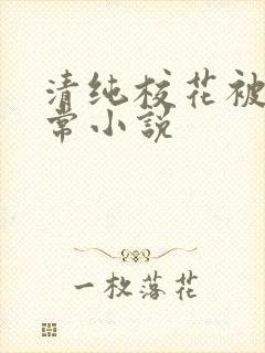 清纯校花被艹日常小说